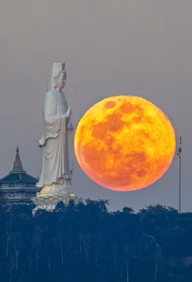 Откроем для себя полуостров Шонча ảnh 4