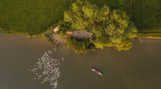 Сельская картина Биньдинь ảnh 4