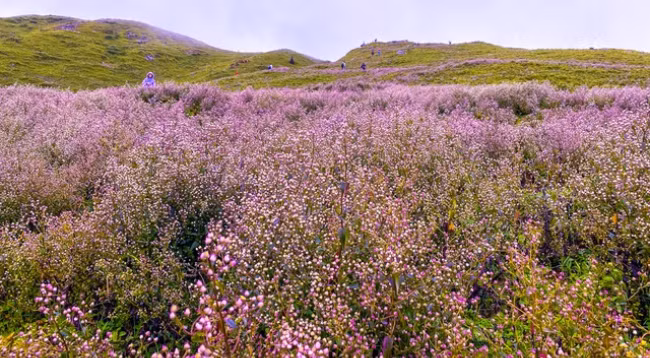 Открываем для себя величественную красоту Татьиньу ảnh 7