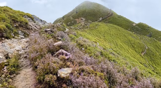 Открываем для себя величественную красоту Татьиньу ảnh 5