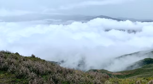 Открываем для себя величественную красоту Татьиньу ảnh 6