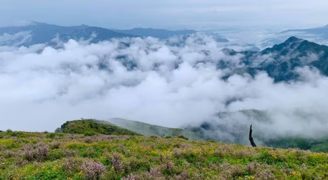 Открываем для себя величественную красоту Татьиньу ảnh 1