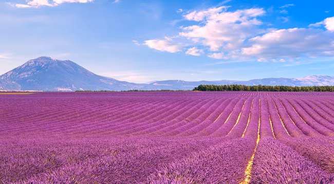 Геопарк Нонныок в провинции Каобанг вошел в список 50 самых привлекательных достопримечательностей мира ảnh 7