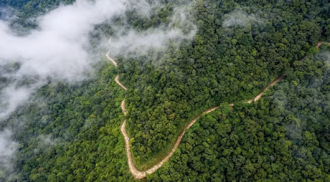 10 национальных парков во Вьетнаме, которые следует посетить ảnh 5