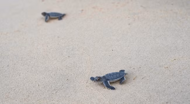 10 национальных парков во Вьетнаме, которые следует посетить ảnh 9