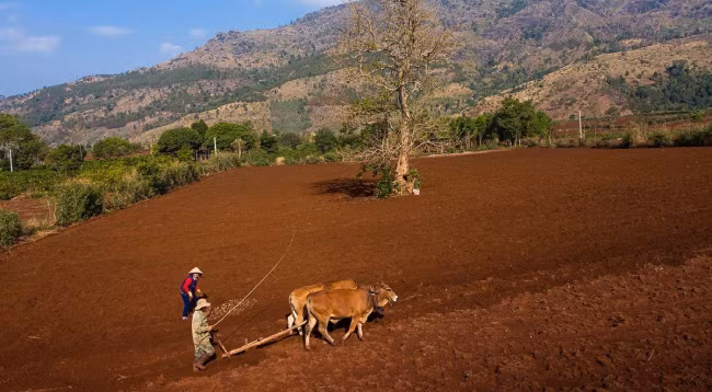 Красота смены времен года на вулкане Тьыдангя ảnh 6