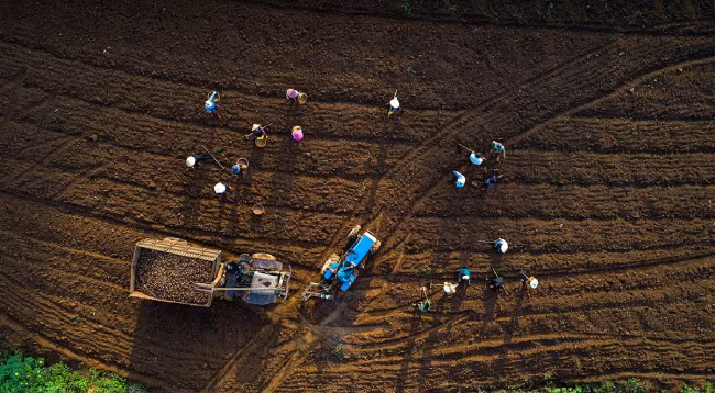 Красота смены времен года на вулкане Тьыдангя ảnh 5