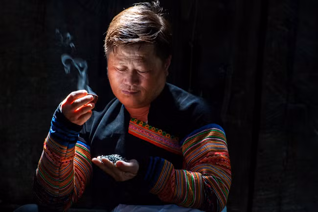 Человек, который делает чай, взятый из вековых чайных деревьев Шантует ảnh 4