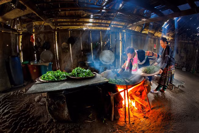 Человек, который делает чай, взятый из вековых чайных деревьев Шантует ảnh 2