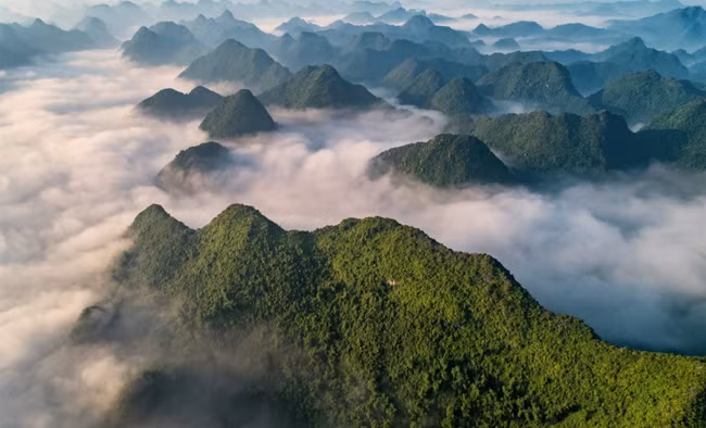 Красота горных пейзажей Налаи (Лангшон) во время уборки урожая ảnh 3