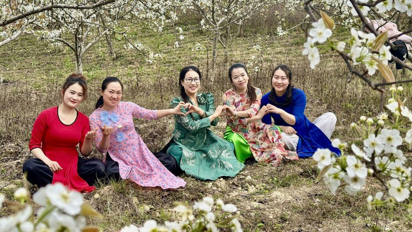 Грушевый сад цветет белым ковром в приграничной общине Фобанг.