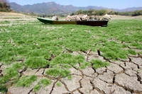 Застрявшая лодка на высохшем озере в уезде Воногири, провинция Центральная Ява (Индонезия), 10 августа 2023 года. (Фото: Синьхуа)