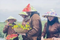 Множество жителей и туристов приходят на пляж Тхуанан в городе Хюэ, чтобы отдыхать и купаться. (Фото: ВИА)