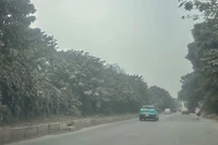 Подъездная дорога вдоль проспекта Тханглонг (участок вблизи Тхиендыонг Баошон) погружена в плотную пыльную дымку. Придорожная растительность побелела, покрывшись толстым слоем мелкой пыли. (Фото: Тхюи Линь)