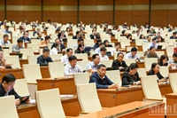 Депутаты Национального собрания участвуют в утреннем заседании 31 октября 2025 года. (Фото: Тхюи Нгуен)