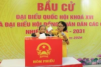 Избиратели квартала Хайтяу (Дананг) голосуют на выборах.