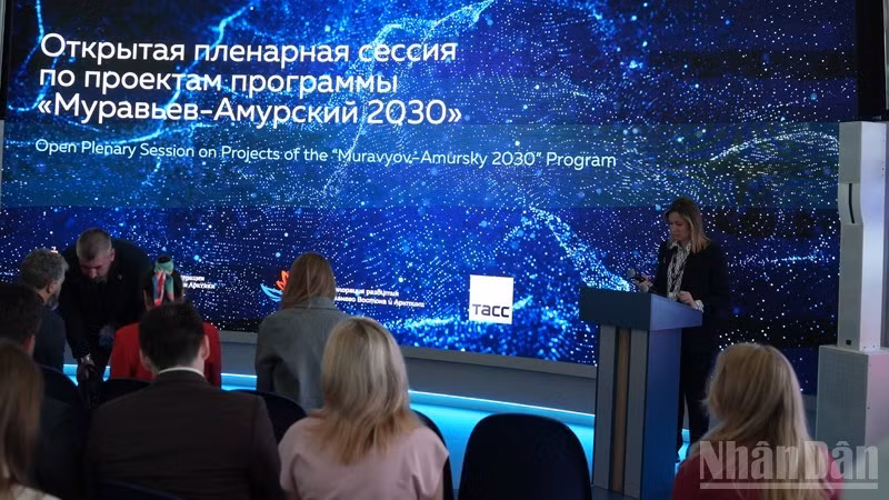 Одно заседание в рамках ВЭФ 2025. Фото: Суан Хынг