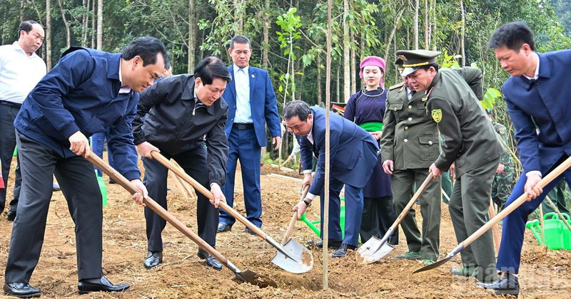 Президент Лыонг Кыонг и делегаты сажают деревья на церемонии запуска акции «Праздник посадки деревьев – Вечная благодарность Дядюшке Хо».