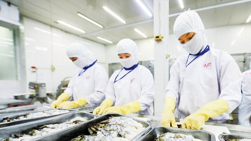 Поиск решений для укрепления позиций аграрной продукции и расширения рынков сбыта