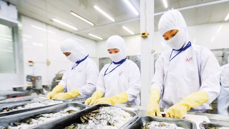 Поиск решений для укрепления позиций аграрной продукции и расширения рынков сбыта