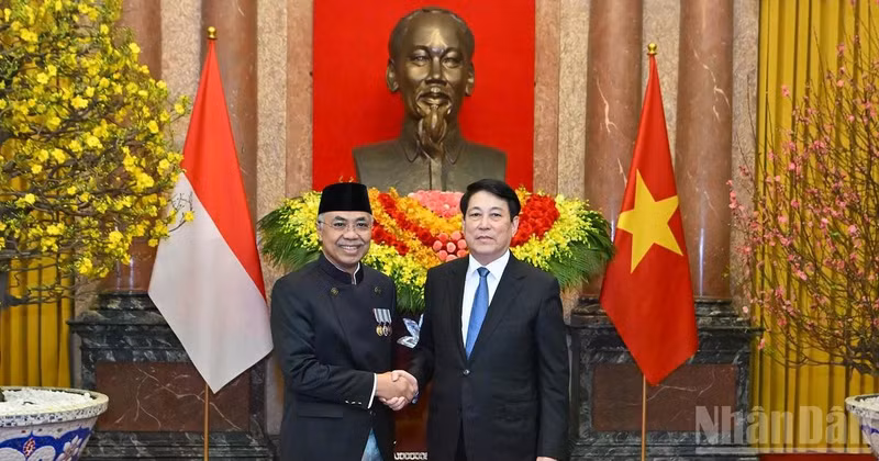 Президент Лыонг Кыонг и посол Индонезии во Вьетнаме Адам Мулаварман Тугио.