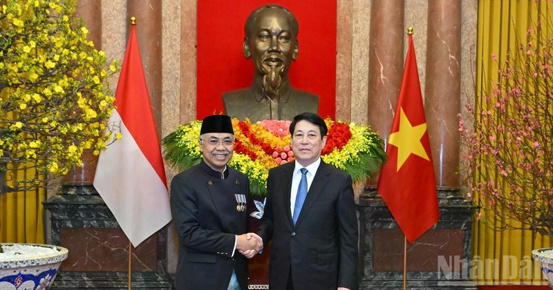 Президент Лыонг Кыонг и посол Индонезии во Вьетнаме Адам Мулаварман Тугио.