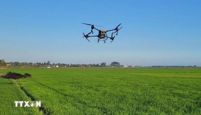 Управление летательным аппаратом по схеме экспериментального размещения на рисовом поле (Фото: ВИА)