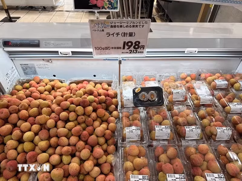 Вьетнамские личи в магазине AEON. Фото: ВИА