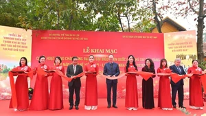 Церемония открытия серии мероприятий в честь XIV съезда Коммунистической партии Вьетнама.