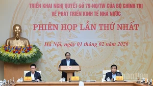 Премьер-министр Фам Минь Тьинь председательствует на заседании Руководящего комитета по развитию государственной экономики.