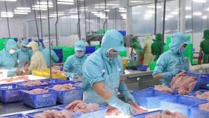 Экспорт морепродуктов продолжает демонстрировать устойчивый рост. (Фото: ВИА)