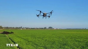 Управление летательным аппаратом по схеме экспериментального размещения на рисовом поле (Фото: ВИА)