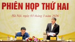 Заместитель Председателя НС Нгуен Дык Хай, глава Подкомитета по информационно-пропагандистской работе Национального избирательного совета, председательствует на втором заседании Подкомитета.