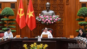 Премьер-министр Фам Минь Тьинь на совещании с Рабочей группой по обеспечению энергетической безопасности.