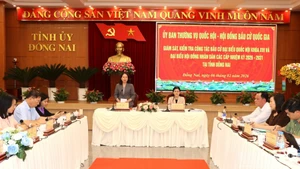 Общий вид рабочей встречи.