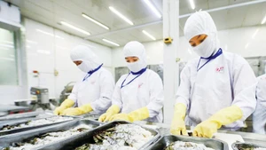 Поиск решений для укрепления позиций аграрной продукции и расширения рынков сбыта