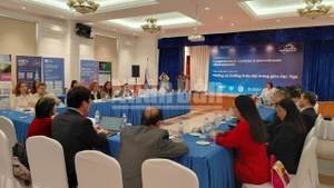 Общий вид экспертной сессии.