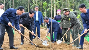 Президент Лыонг Кыонг и делегаты сажают деревья на церемонии запуска акции «Праздник посадки деревьев – Вечная благодарность Дядюшке Хо».