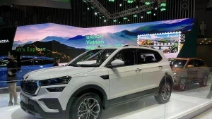 Skoda Kushaq находится в сегменте внедорожников B-сегмента.