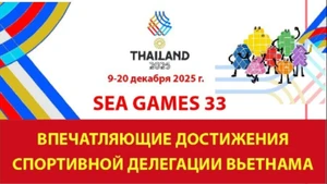SEA Games 33: впечатляющие достижения спортивной делегации Вьетнама