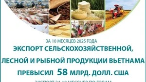 Экспорт сельскохозяйственной, лесной и рыбной продукции вырос почти на 13% за 10 месяцев