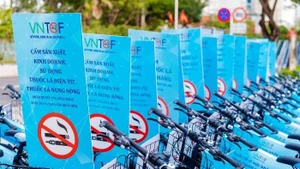 Табак является одной из главных причин заболеваний и смертности во всём мире, унося жизни более 8 миллионов человек ежегодно. (Фото: baodautu.vn)