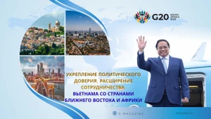 Укрепление политического доверия, расширение сотрудничества Вьетнама со странами Ближнего Востока и Африки