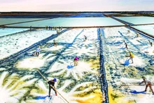 Cолевары общины Лонгдиен занимаются сбором соли. Фото: PTC