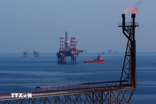 Нефтяные платформы на месторождении Батьхо. Фото: ВИА