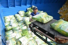 Вьетнам уже входит в число поставщиков риса в Израиль, хотя его доля остается скромной - около 2,2–3% от общего объема импорта. Фото: ВИА