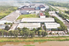 Переход к зеленому производству не только имеет важное значение для каждой компании, но и воздействует на всю цепочку поставок. Фото: Тхэ Ань