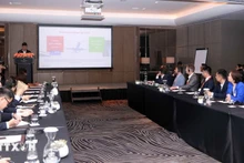 Общий вид конференции. Фото: ВИА