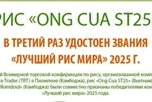 Рис «Ong Cua ST25» в третий раз удостоен звания «Лучший рис мира» 2025 года
