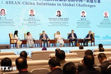 Общий вид тематического диалога высокого уровня в рамках Недели АСЕАН-Китай 2025 года. Фото: ВИА